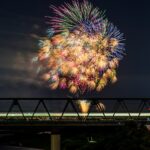 夏の夜空を彩る、花火と花火師の全貌に迫る！①花火の種類と歴史