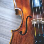 木と対話し、音を作る。ヴァイオリンを徹底解剖 ①歴史と種類を知ろう